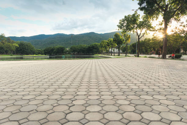 Best Professional Driveway Pavers  in Hamton, IL