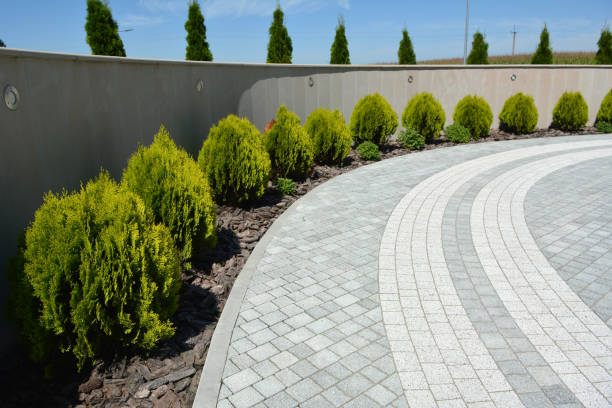 Best Driveway Pavers Near Me  in Hamton, IL