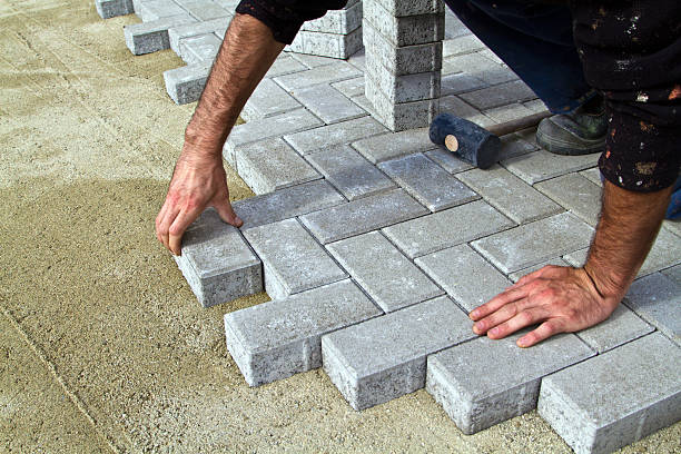 Best Local Driveway Pavers  in Hamton, IL