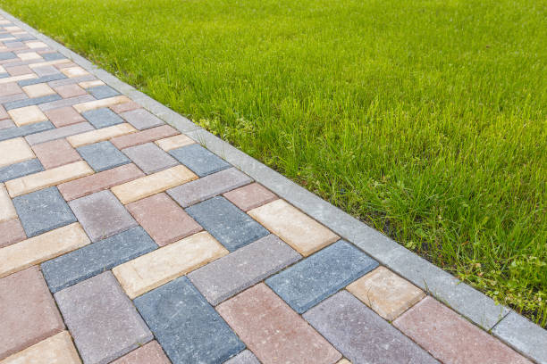 Best Custom Driveway Pavers  in Hamton, IL